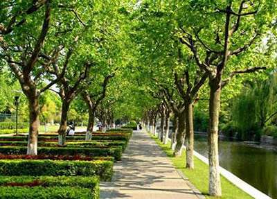 甕安中等職業(yè)技術(shù)學(xué)校2025年報名需要滿足哪些條件