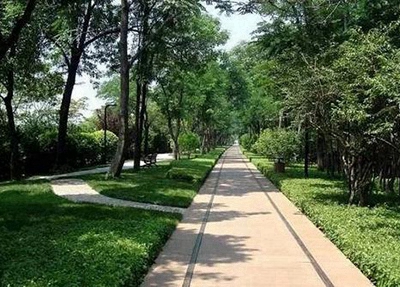 平度成人中等專業(yè)學校2025年招生對象