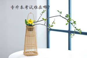 專升本考試難在哪？