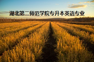 湖北第二師范學(xué)院專(zhuān)升本英語(yǔ)專(zhuān)業(yè)