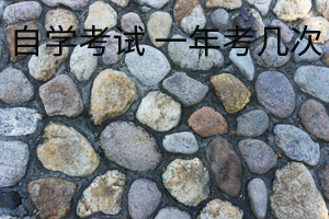 自學(xué)考試 一年考幾次