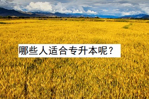 哪些人適合專升本呢？