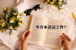 專升本還是工作？
