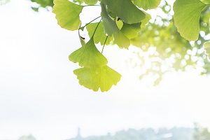 及時調(diào)整復(fù)習(xí)計(jì)劃
