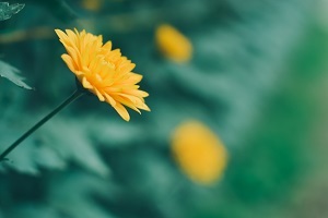精做真題，查缺補漏