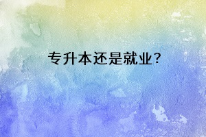 專升本還是就業(yè)？