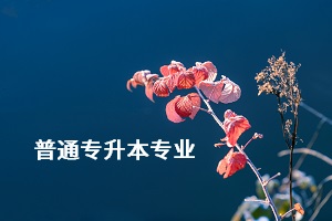 荊楚理工學(xué)院專升本的專業(yè)有哪些？專業(yè)考試難不難？