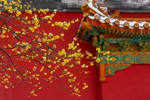 全日制普通專升本和本科有區(qū)別嗎？哪些地方是不同的？