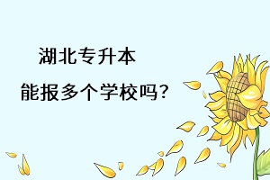 湖北專升本能報(bào)多個(gè)學(xué)習(xí)嗎？