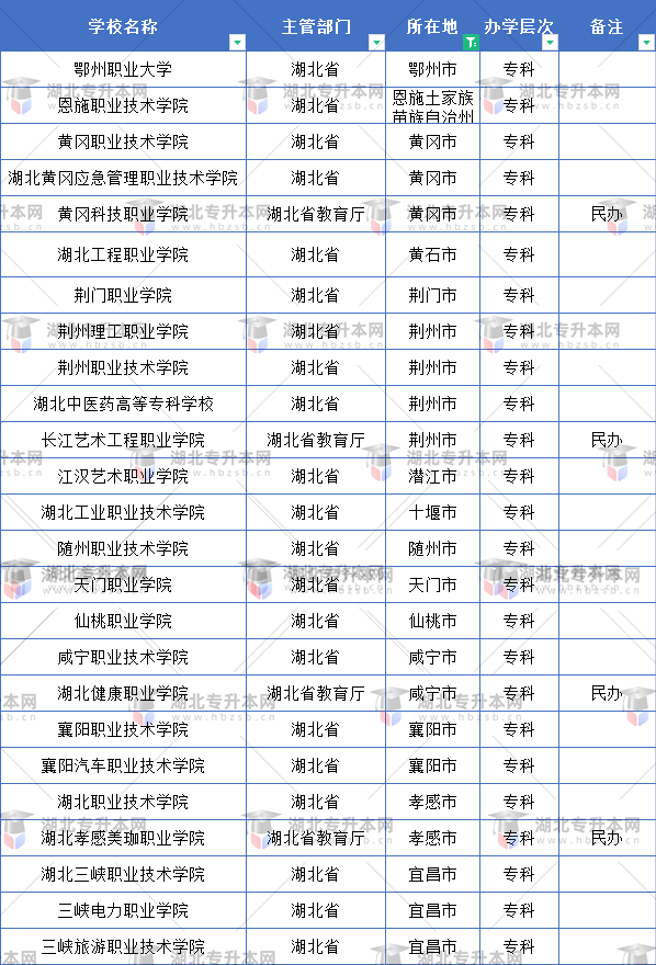 武漢市外的?？茖W校