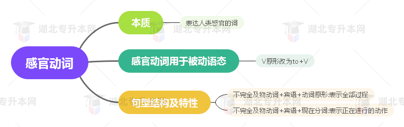 普通專升本英語(yǔ)要掌握多少種語(yǔ)法？25張思維導(dǎo)圖教會(huì)你！